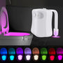 Smart Motion Toilet Light